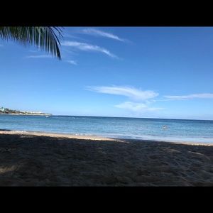 Meet your Posher, Sofia